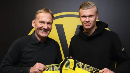 伦敦奥运马术冠军与爱驹双双安乐死，二十余年相伴征服世界赛场